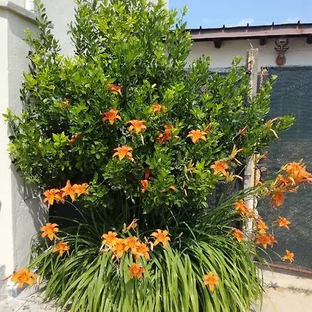 Casa de Férias Ca Virginia Trinità